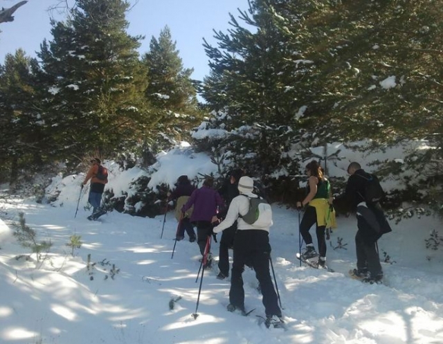 grupo disfrutando de un recorrido en raquetas de nieve